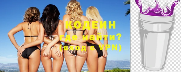 индика Волосово