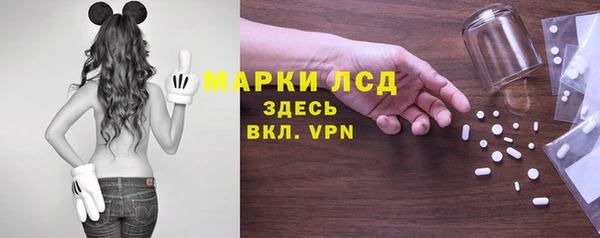 индика Волосово
