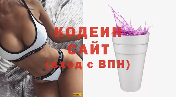 индика Волосово