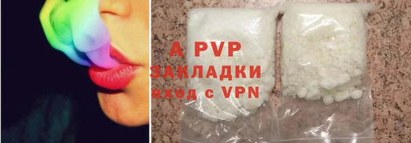 индика Волосово