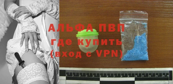 стафф Волоколамск
