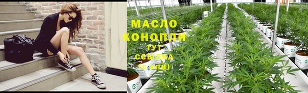 индика Волосово