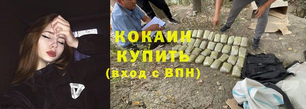 индика Волосово