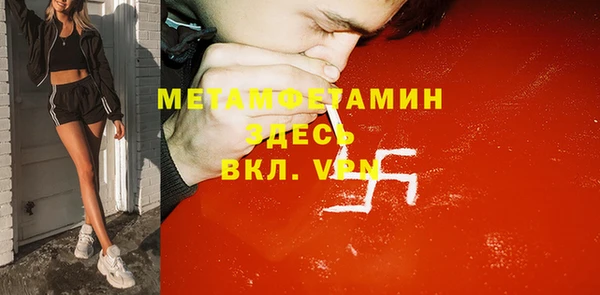 индика Волосово