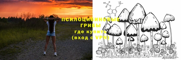 индика Волосово