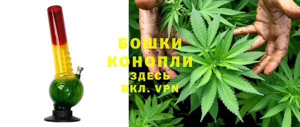 стафф Волоколамск